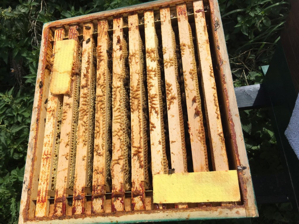 Deze afbeelding heeft een leeg alt-atribuut; de bestandsnaam is 74718fa4-aac6-441b-9d32-48cd64c8945a-e1599144373807.jpeg